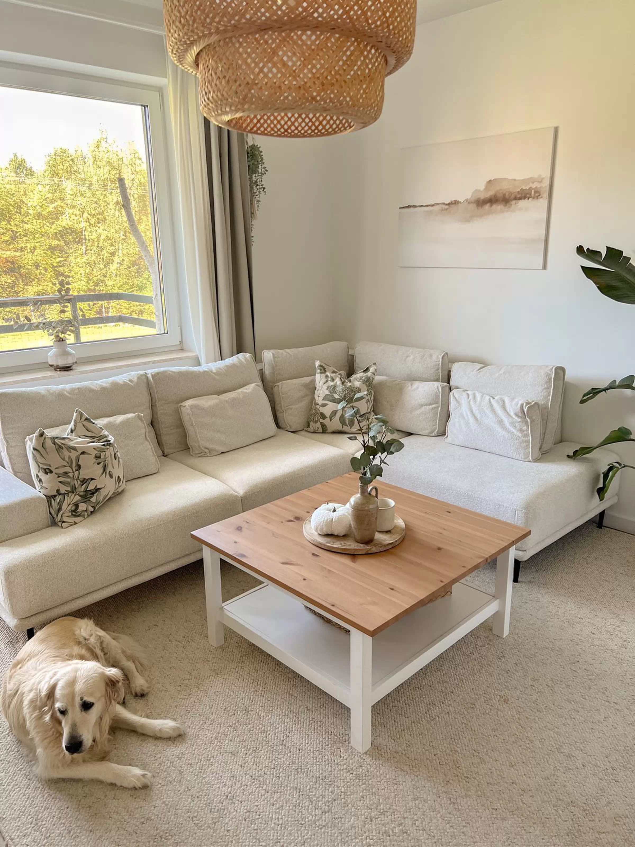 Client Image 778